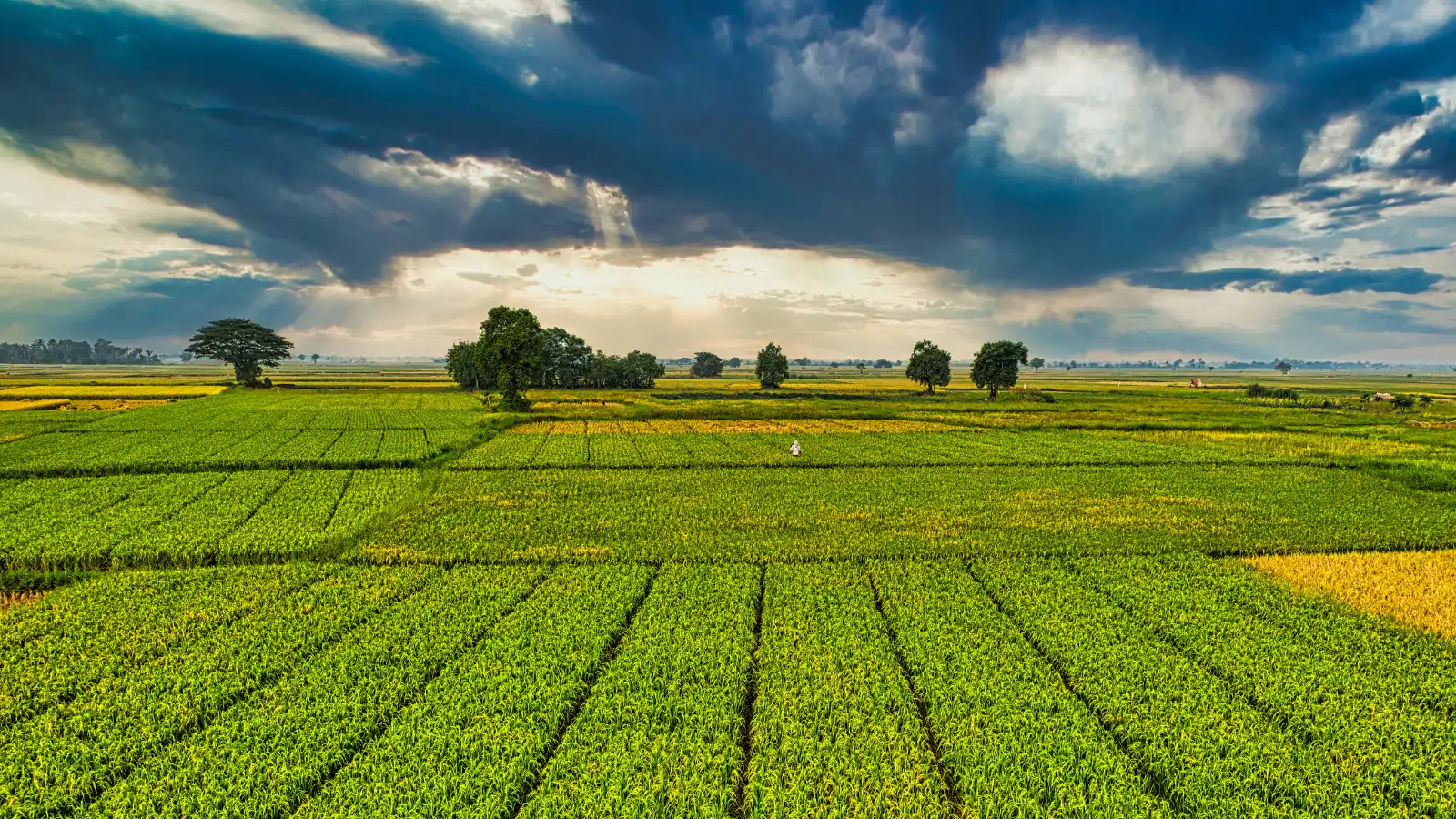 Vista aérea de áreas rurais e agrícolas mapeadas pela Grupo BM Engenharia